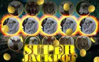 Wild Cat Slot: Real Jackpot & Super Hot Wins Screen Shot 0