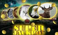 Wild Cat Slot: Real Jackpot & Super Hot Wins Screen Shot 8