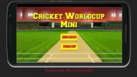 Cricket World Cup Mini Screen Shot 1