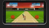 Cricket World Cup Mini Screen Shot 3
