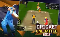 Cricket Unlimited 2017 Screen Shot 2