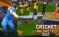 Cricket Unlimited 2017 Screen Shot 10