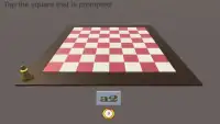 Chess Coordinate Guru Screen Shot 2