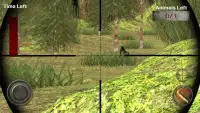 Wolf Hunter 2018 - Animal Hunting FPS Sniper games Screen Shot 3
