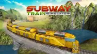Subway Train Simulator 2017 * Screen Shot 3