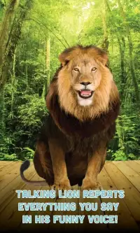 Talking Lion Screen Shot 3
