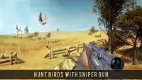 Wild Bird Sniper Hunting Screen Shot 4