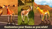 Llama Wild Life Simulator 3D Screen Shot 0