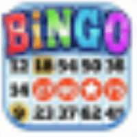 Bingo multiplayers Free