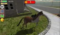 Cat Simulator Rider Kitty Screen Shot 3