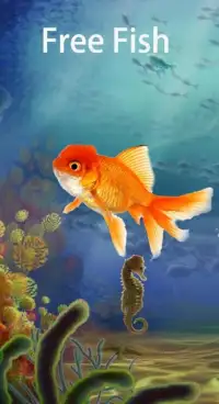 Free Fish Screen Screen Shot 1
