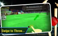 Cricket Run Out 3D Screen Shot 5