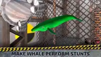 The End of Blue Whale - Sea Animal Simulator Screen Shot 1