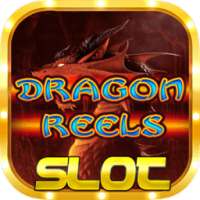 Dragon Reels Slot