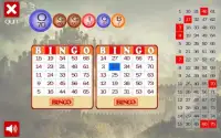 Bingo Kingdom Screen Shot 0