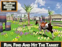 Wild Pony Horse Simulator 2016 Screen Shot 2