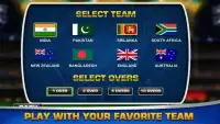 Bash Cricket Champions 2017 Screen Shot 7