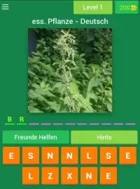 Essbare Pflanzen - Deutsch Screen Shot 1