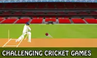 Cricket Game T20 2017 Free Screen Shot 5