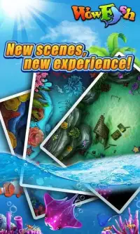 Wow Fish - Free Game Screen Shot 12
