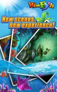 Wow Fish - Free Game Screen Shot 2