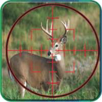 American Sniper 3D Lov Hunter: Wild Deer Hunt
