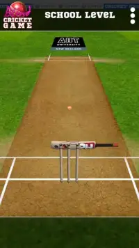 Blind Cricket Screen Shot 13