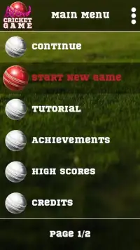 Blind Cricket Screen Shot 14