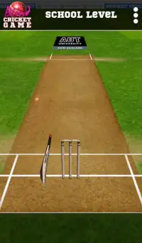Blind Cricket Screen Shot 3