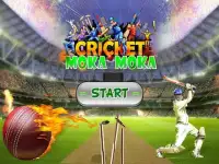 Mauka Mauka Cricket Game - Championship Fun Game Screen Shot 3