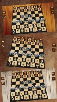 EChecs Chess 3D - Move your Brain Screen Shot 1