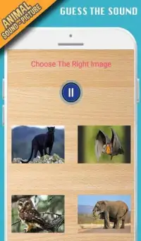 Animal sounds+pictures App For kids Screen Shot 1