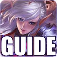 Guide for Heroes Evolved