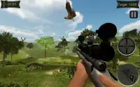 Eagle Sniper Hunt Screen Shot 4