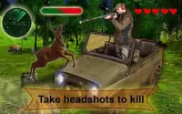 Wild Animals Shooting - Farm Survival Screen Shot 4