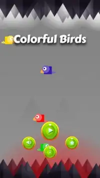 Colorful Birds Screen Shot 5