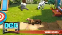 Dog Games - Sim, Stunts & Simulator Screen Shot 3