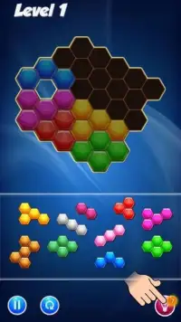 Hexa Puzzle Block Screen Shot 2