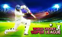 World Cricket Super League Screen Shot 6