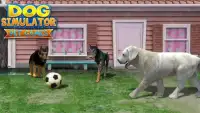 Dog Simulator : Pet Games Screen Shot 2