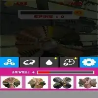 The Bullfrog Spinner Game Screen Shot 4