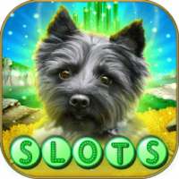 Toto's Journey of Slots