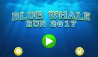 Blue Whale Run 2017 Screen Shot 4