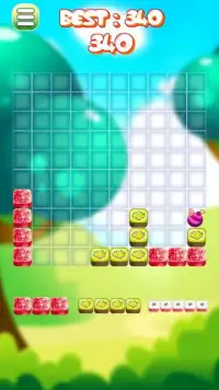 Fresh Fruit Block Screen Shot 2