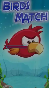 Birds Match Mania Screen Shot 7