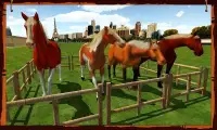 Horse Show Jumping Challenge Screen Shot 12