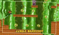 Bandicoot Adventure Jungle World Screen Shot 1