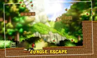 Bandicoot Adventure Jungle World Screen Shot 2