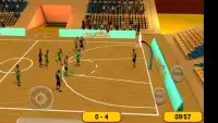 Basketball Sim 3D Screen Shot 2