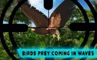 Sniper Bird Hunting Jungle Shoot :Bird Hunter 2018 Screen Shot 1
